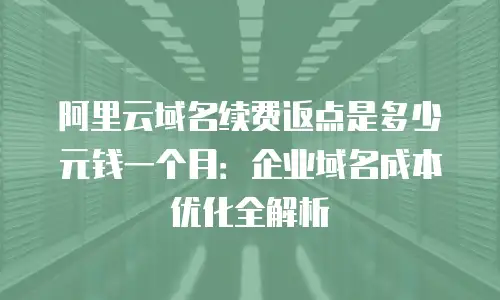阿里云域名续费返点是多少元钱一个月：企业域名成本优化全解析