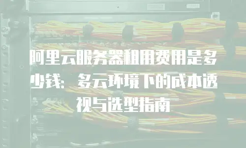 阿里云服务器租用费用是多少钱：多云环境下的成本透视与选型指南