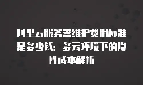 阿里云服务器维护费用标准是多少钱：多云环境下的隐性成本解析