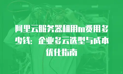 阿里云服务器租用m费用多少钱：企业多云选型与成本优化指南