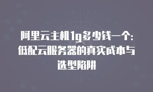 阿里云主机1g多少钱一个：低配云服务器的真实成本与选型陷阱