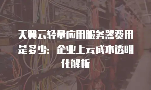 天翼云轻量应用服务器费用是多少：企业上云成本透明化解析