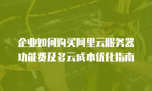 企业如何购买阿里云服务器功能费及多云成本优化指南