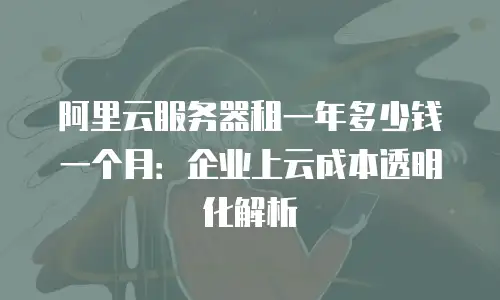 阿里云服务器租一年多少钱一个月：企业上云成本透明化解析