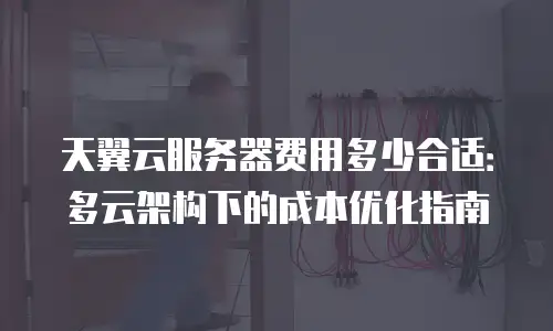 天翼云服务器费用多少合适：多云架构下的成本优化指南