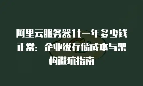 阿里云服务器1t一年多少钱正常：企业级存储成本与架构避坑指南