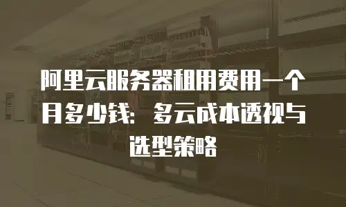 阿里云服务器租用费用一个月多少钱：多云成本透视与选型策略