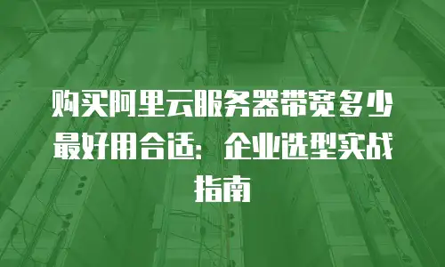 购买阿里云服务器带宽多少最好用合适：企业选型实战指南