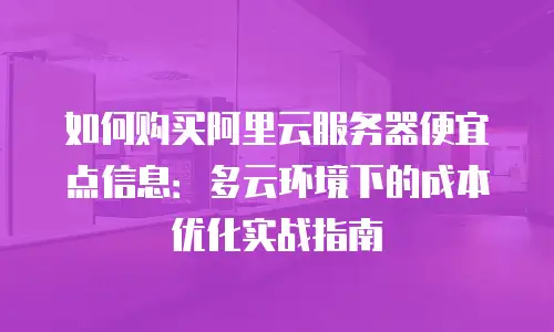 如何购买阿里云服务器便宜点信息：多云环境下的成本优化实战指南