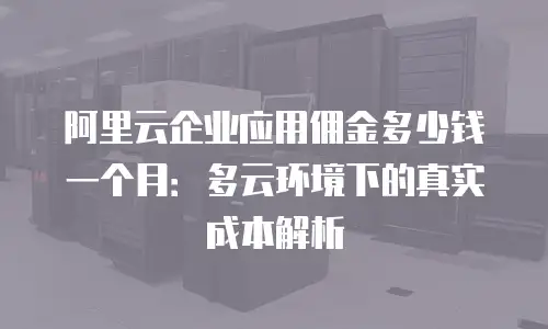 阿里云企业应用佣金多少钱一个月：多云环境下的真实成本解析