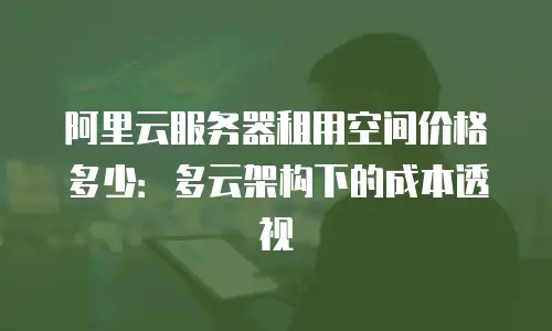 阿里云服务器租用空间价格多少：多云架构下的成本透视