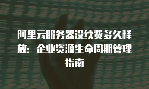 阿里云服务器没续费多久释放：企业资源生命周期管理指南