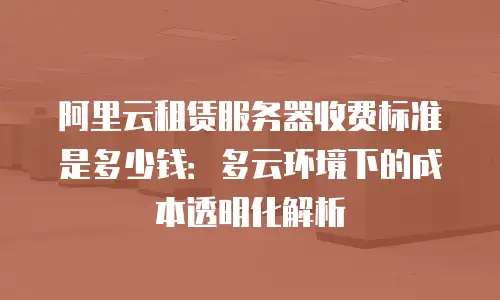 阿里云租赁服务器收费标准是多少钱：多云环境下的成本透明化解析