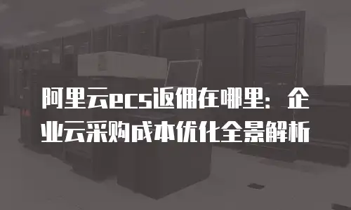 阿里云ecs返佣在哪里：企业云采购成本优化全景解析
