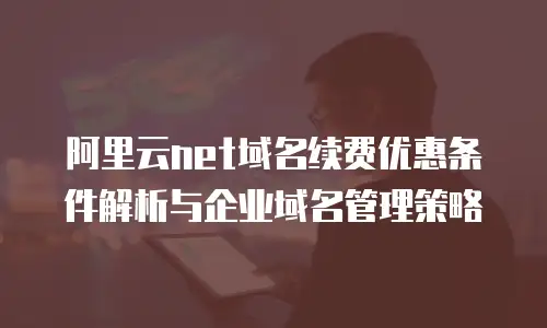 阿里云net域名续费优惠条件解析与企业域名管理策略