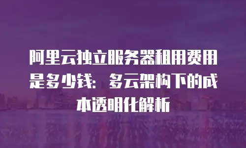 阿里云独立服务器租用费用是多少钱：多云架构下的成本透明化解析