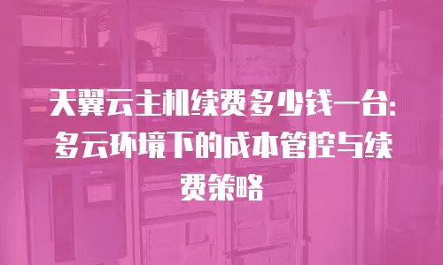 天翼云主机续费多少钱一台：多云环境下的成本管控与续费策略