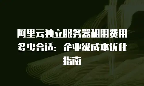 阿里云独立服务器租用费用多少合适：企业级成本优化指南