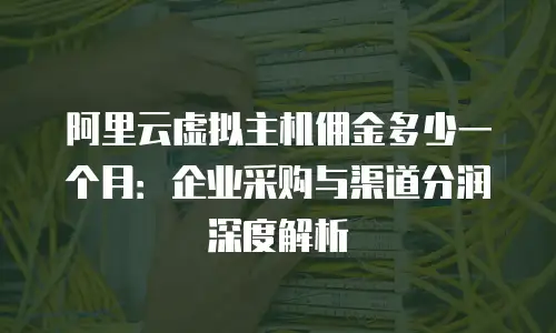 阿里云虚拟主机佣金多少一个月：企业采购与渠道分润深度解析