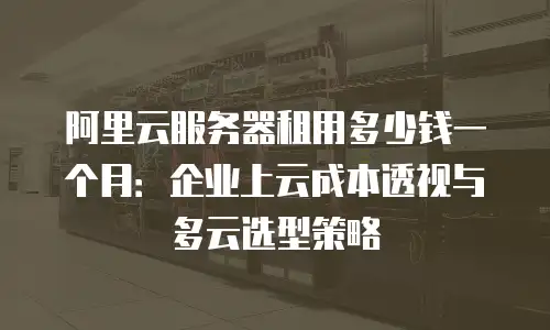 阿里云服务器租用多少钱一个月：企业上云成本透视与多云选型策略