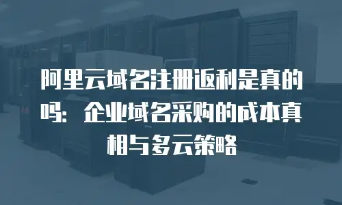 阿里云域名注册返利是真的吗：企业域名采购的成本真相与多云策略