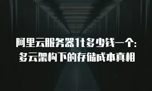 阿里云服务器1t多少钱一个：多云架构下的存储成本真相