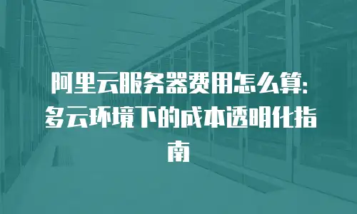 阿里云服务器费用怎么算：多云环境下的成本透明化指南