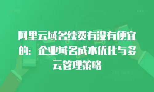阿里云域名续费有没有便宜的：企业域名成本优化与多云管理策略