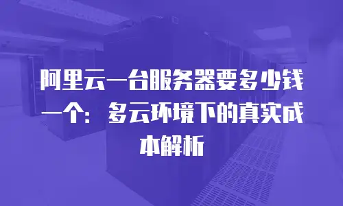 阿里云一台服务器要多少钱一个：多云环境下的真实成本解析