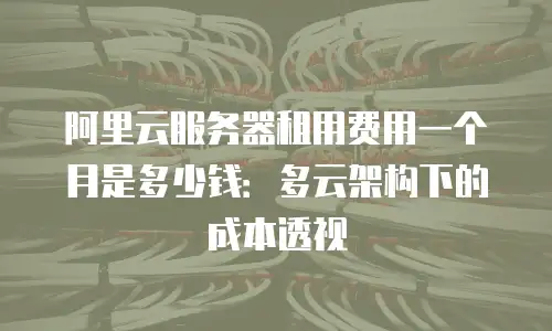 阿里云服务器租用费用一个月是多少钱：多云架构下的成本透视