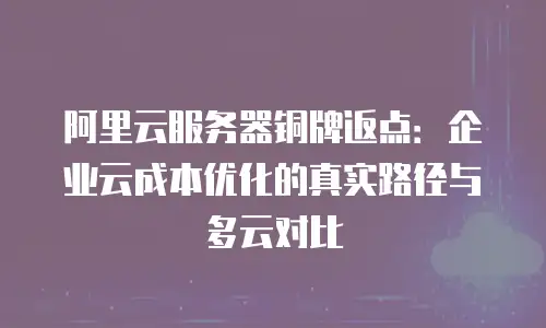 阿里云服务器铜牌返点：企业云成本优化的真实路径与多云对比