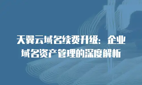天翼云域名续费升级：企业域名资产管理的深度解析