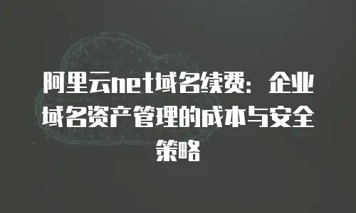 阿里云net域名续费：企业域名资产管理的成本与安全策略