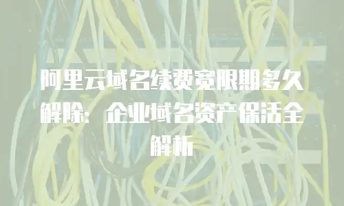 阿里云域名续费宽限期多久解除：企业域名资产保活全解析