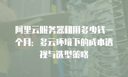 阿里云服务器租用多少钱一个月：多云环境下的成本透视与选型策略