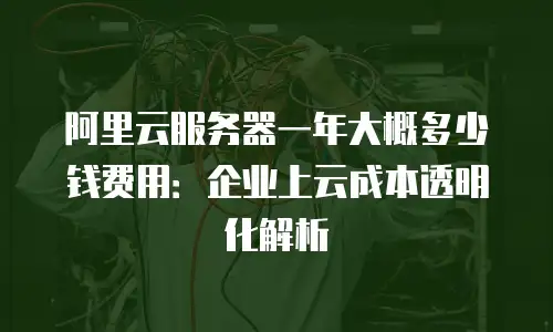 阿里云服务器一年大概多少钱费用：企业上云成本透明化解析
