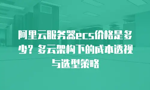 阿里云服务器ecs价格是多少？多云架构下的成本透视与选型策略