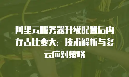 阿里云服务器升级配置后内存占比变大：技术解析与多云应对策略