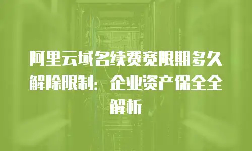 阿里云域名续费宽限期多久解除限制：企业资产保全全解析