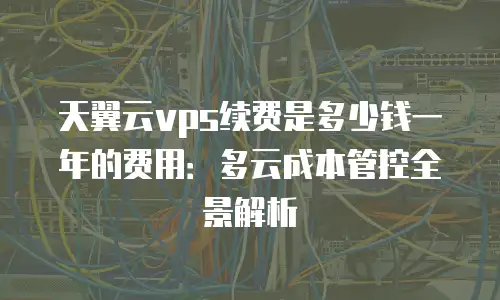 天翼云vps续费是多少钱一年的费用：多云成本管控全景解析