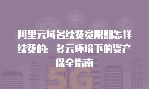 阿里云域名续费宽限期怎样续费的：多云环境下的资产保全指南