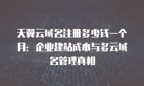 天翼云域名注册多少钱一个月：企业建站成本与多云域名管理真相
