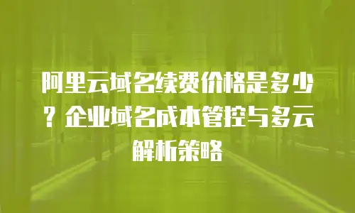 阿里云域名续费价格是多少？企业域名成本管控与多云解析策略