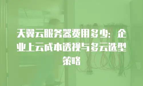 天翼云服务器费用多少：企业上云成本透视与多云选型策略