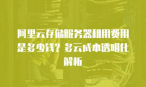 阿里云存储服务器租用费用是多少钱？多云成本透明化解析