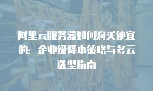 阿里云服务器如何购买便宜的：企业级降本策略与多云选型指南