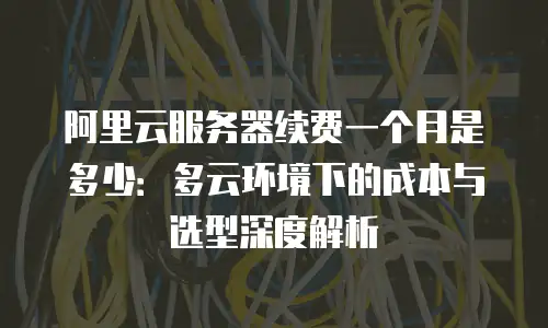 阿里云服务器续费一个月是多少：多云环境下的成本与选型深度解析