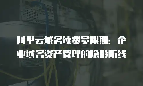 阿里云域名续费宽限期：企业域名资产管理的隐形防线