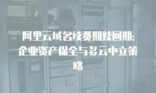 阿里云域名续费期赎回期：企业资产保全与多云中立策略