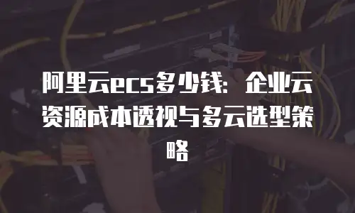 阿里云ecs多少钱：企业云资源成本透视与多云选型策略